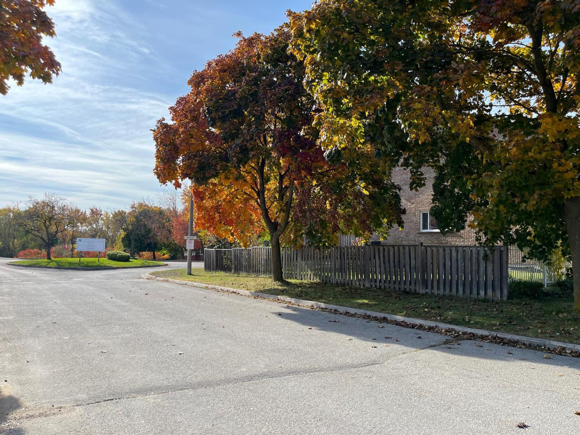 Comfort Near Toronto Airport Homestay Mississauga