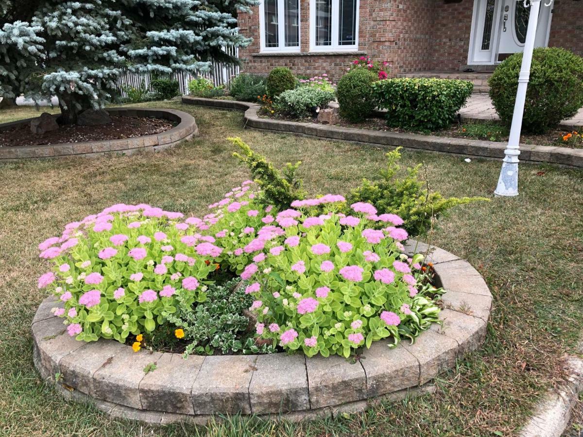 Comfort Near Toronto Airport Homestay
