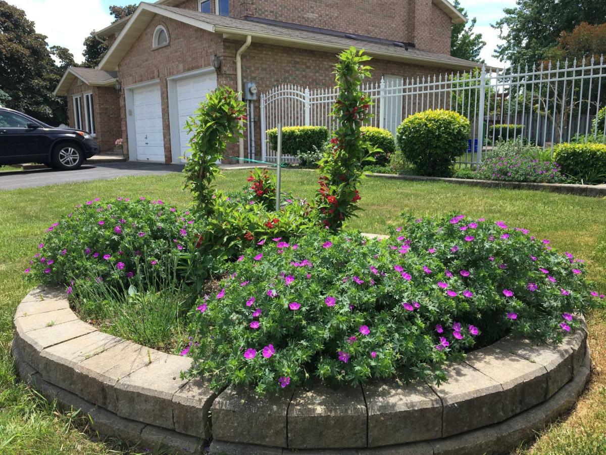 Comfort Near Toronto Airport * Mississauga